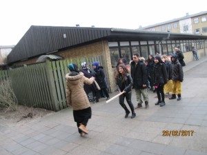 IMG 0382